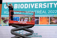 What is the UN nature conference in Montreal and what will it achieve?