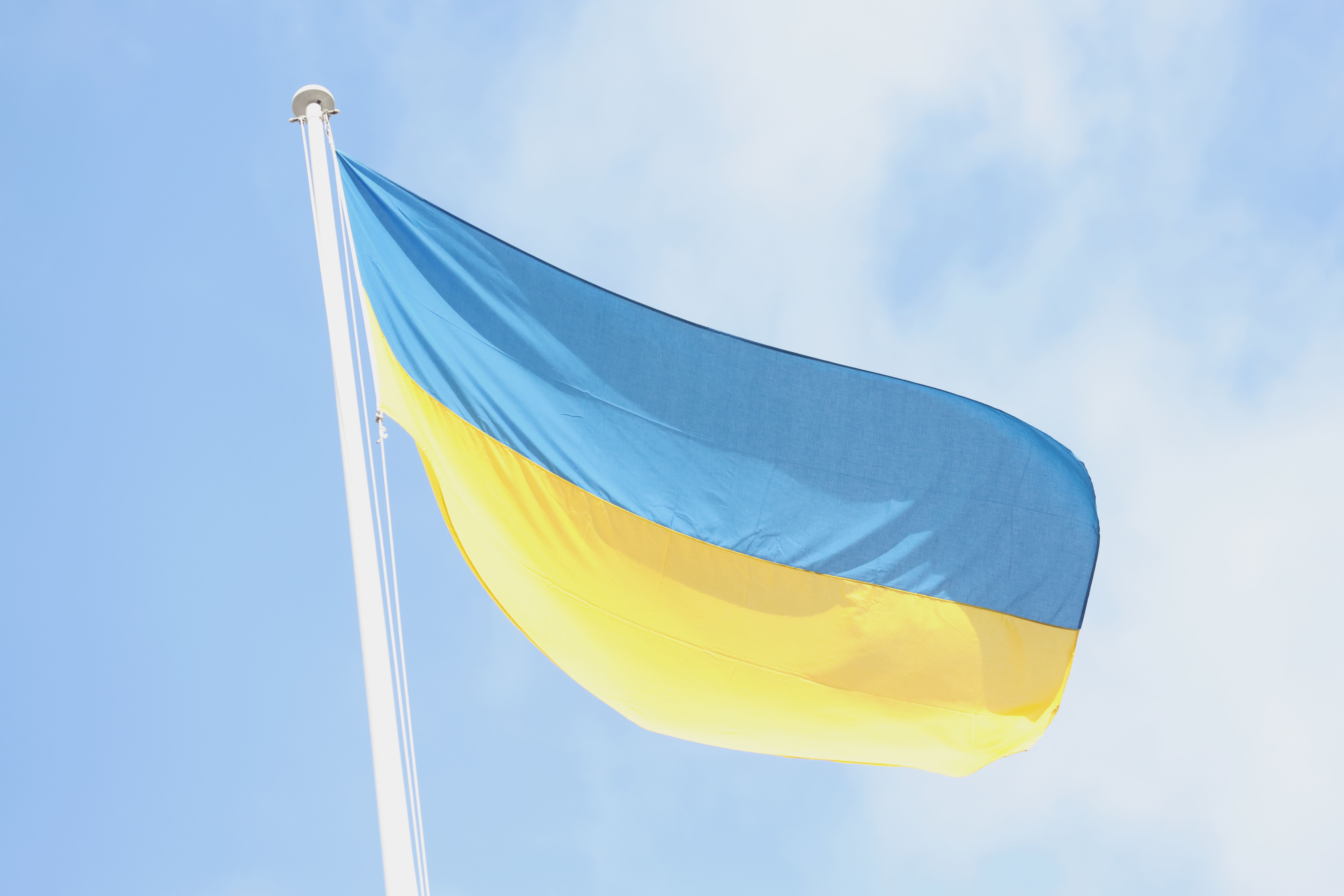 The Ukrainian flag (PA)