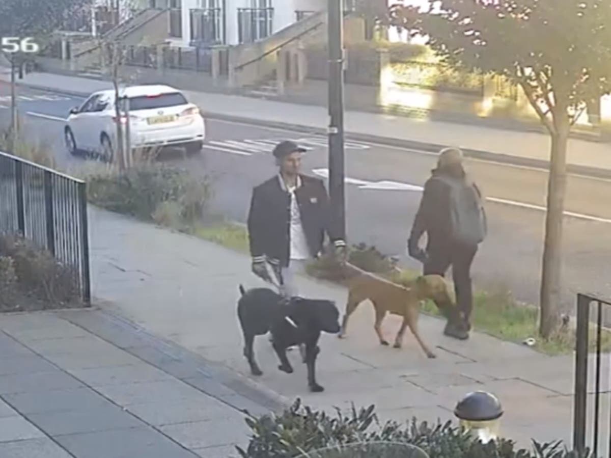 Girl, 11, has bones broken in ‘shocking and sustained’ dog attack as ...