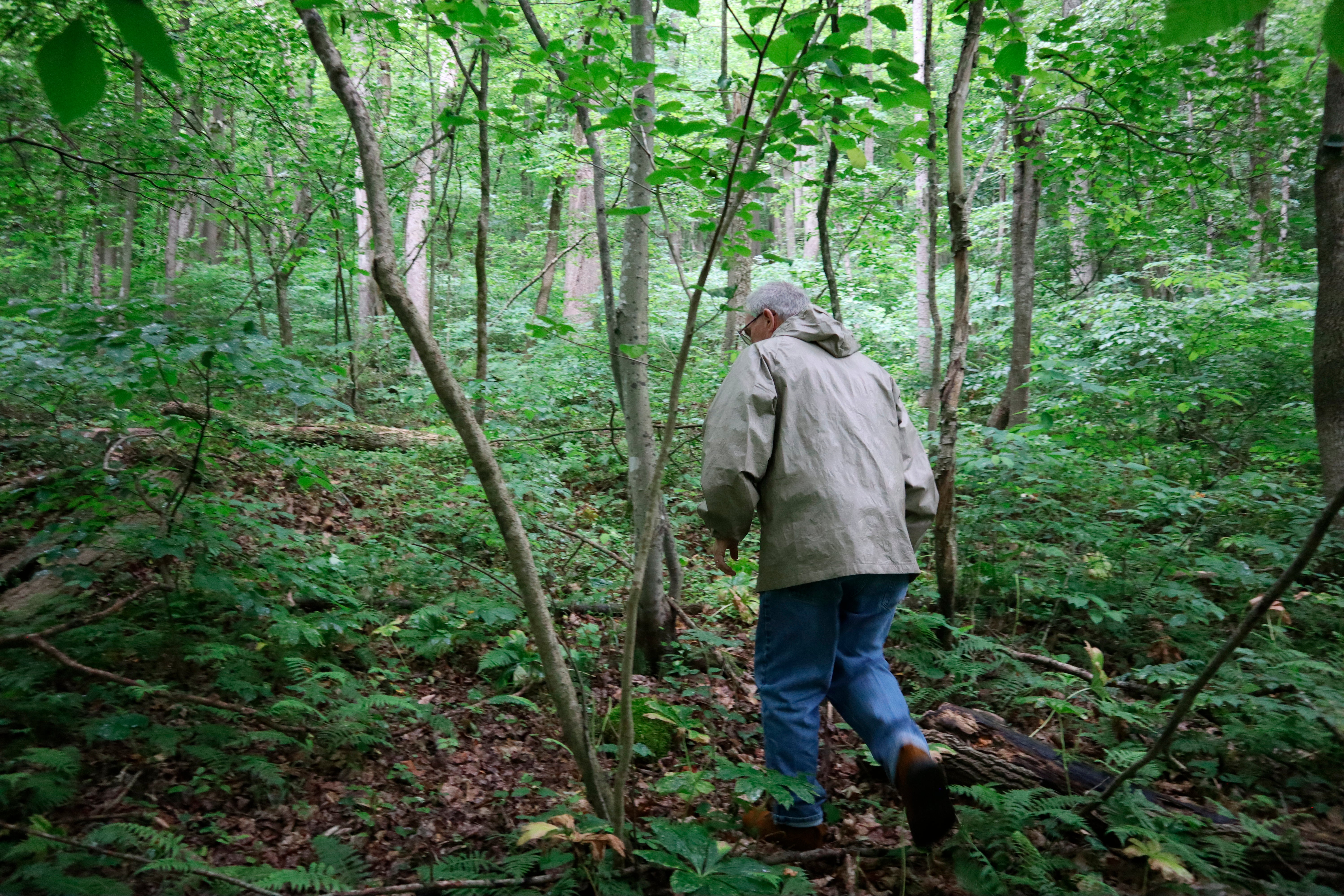 Miners Graves West Virginia