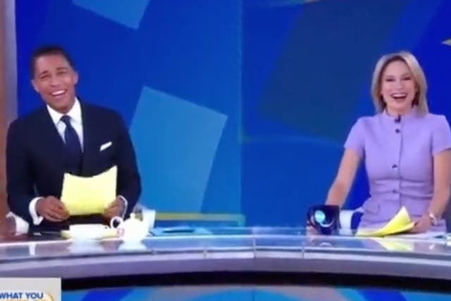 <p>Amy Robach and TJ Holmes reportedly taken off air amid relationship rumours</p>