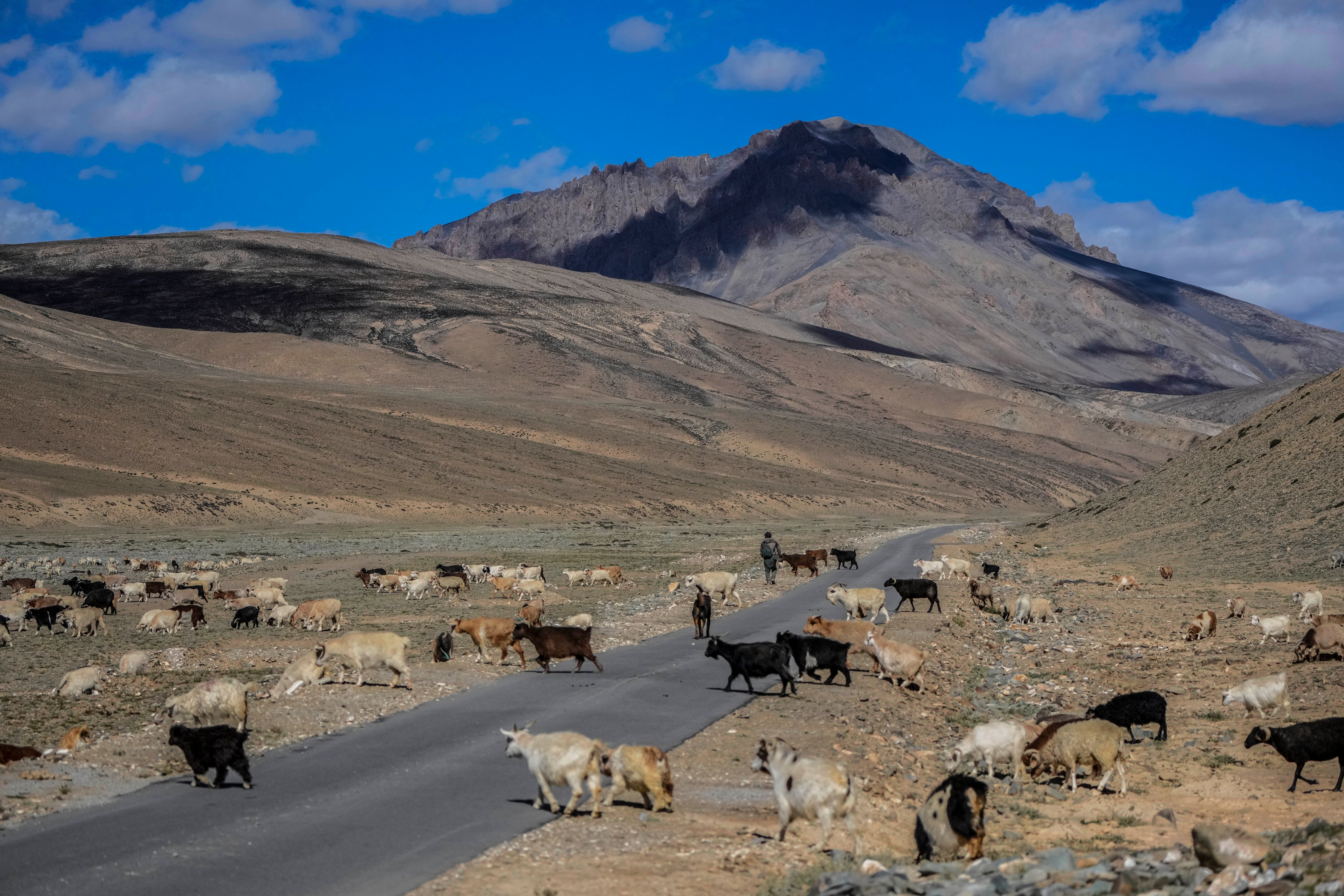 Climate UN Biodiversity Report