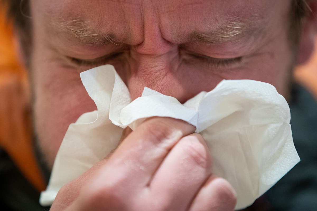 Scientists uncover why colds spike when the temperature drops