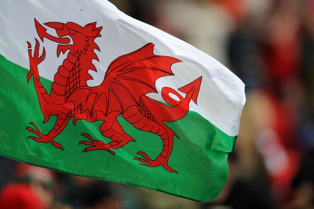 The number of Welsh speakers has fallen in the past decade as fewer children are speaking the language, new figures show (Andrew Matthews/PA)