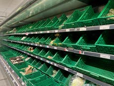 New Brexit red tape could see more empty supermarket shelves, food chiefs warn