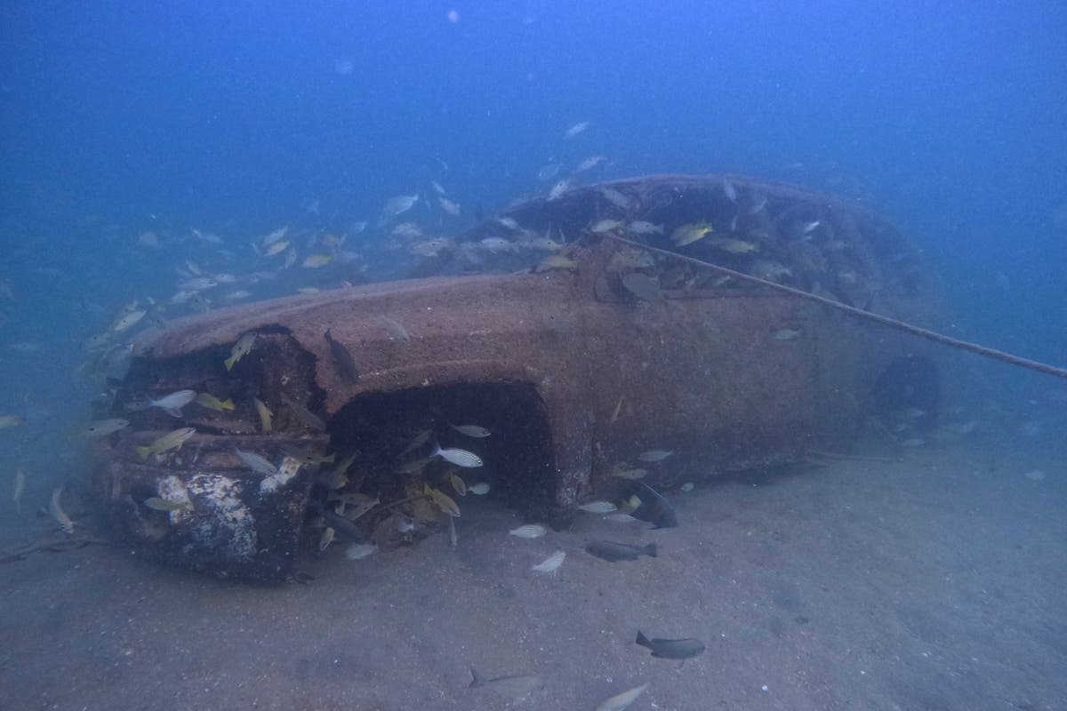 AP PHOTOS World Cup fans explore Qatar's artificial reefs The