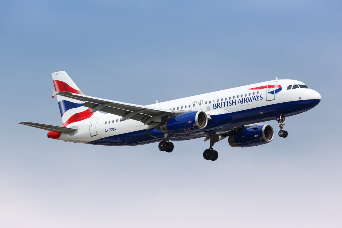 British Airways flies ‘traumatised’ labrador to Saudi Arabia instead of US