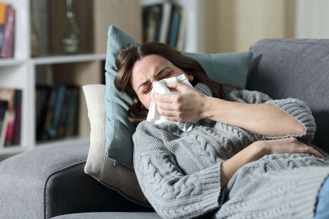 <p>The new strain may spread more easily but doesn't appear to cause more severe illness than previous variants (Alamy/PA)</p>