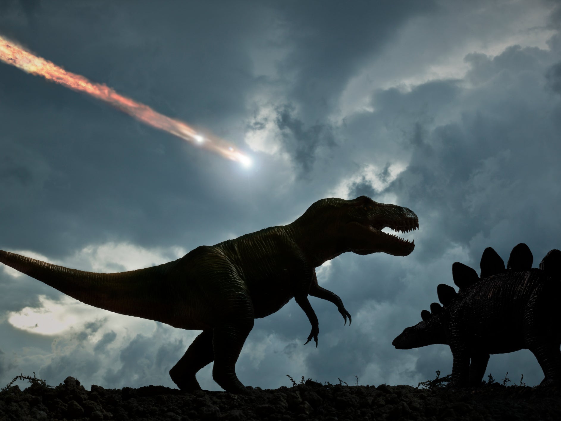 Dinosaurs may have been in their prime when the asteroid struck, new research suggests