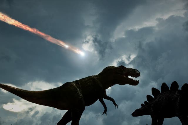 <p>Dinosaurs may have been in their prime when the asteroid struck, new research suggests</p>