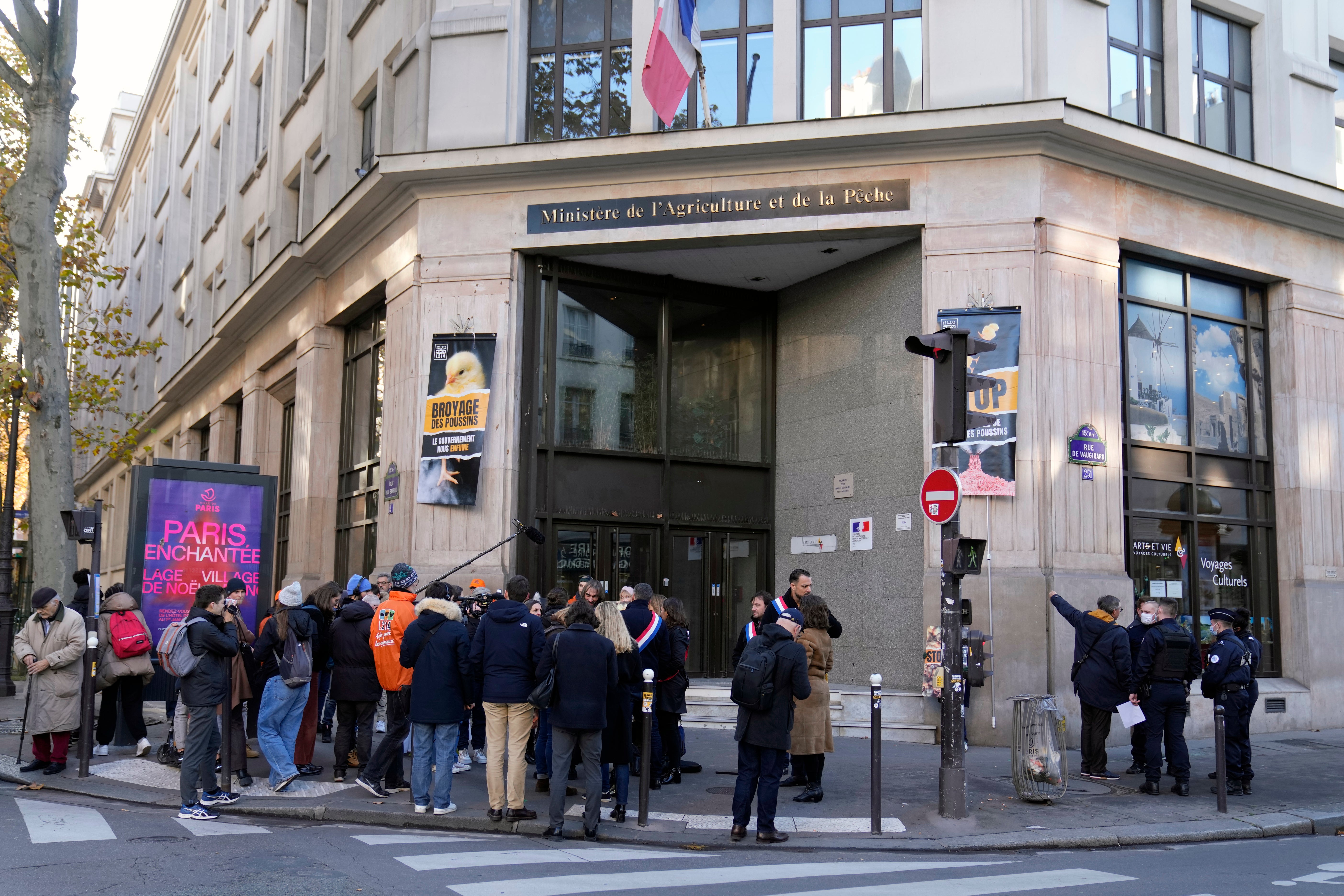 France Killing Male Chicks