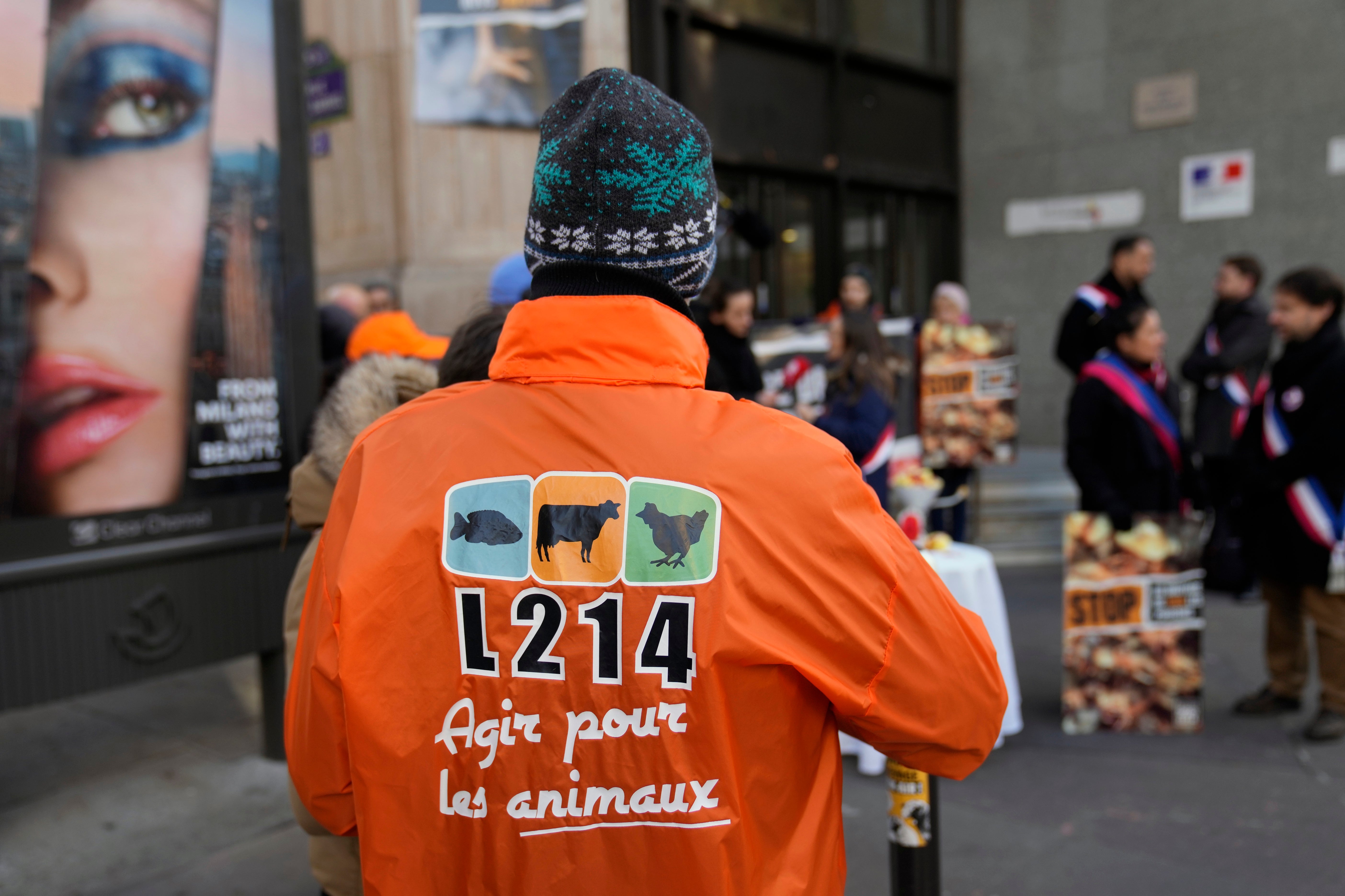 France Killing Male Chicks