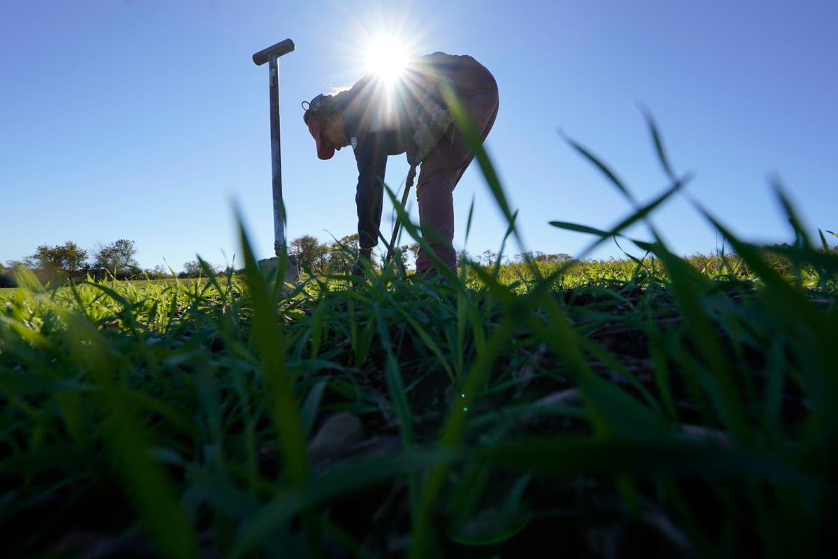 Murderous 1600s pirate hid out in US colonies with impunity Murderous 1600s pirate hid out in US colonies with impunity