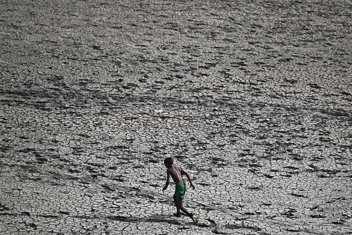 India could become first country to get heatwaves that shatter human survivability limits, World Bank says