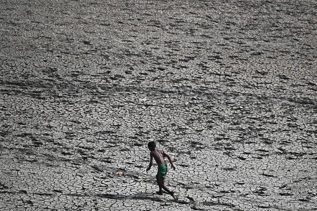 <p>A boy walks across a patch of parched riverbed of Yamuna on a hot summer day in New Delhi on 2 May 2022</p>