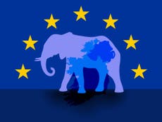 Brexit is the elephant in the room of British politics