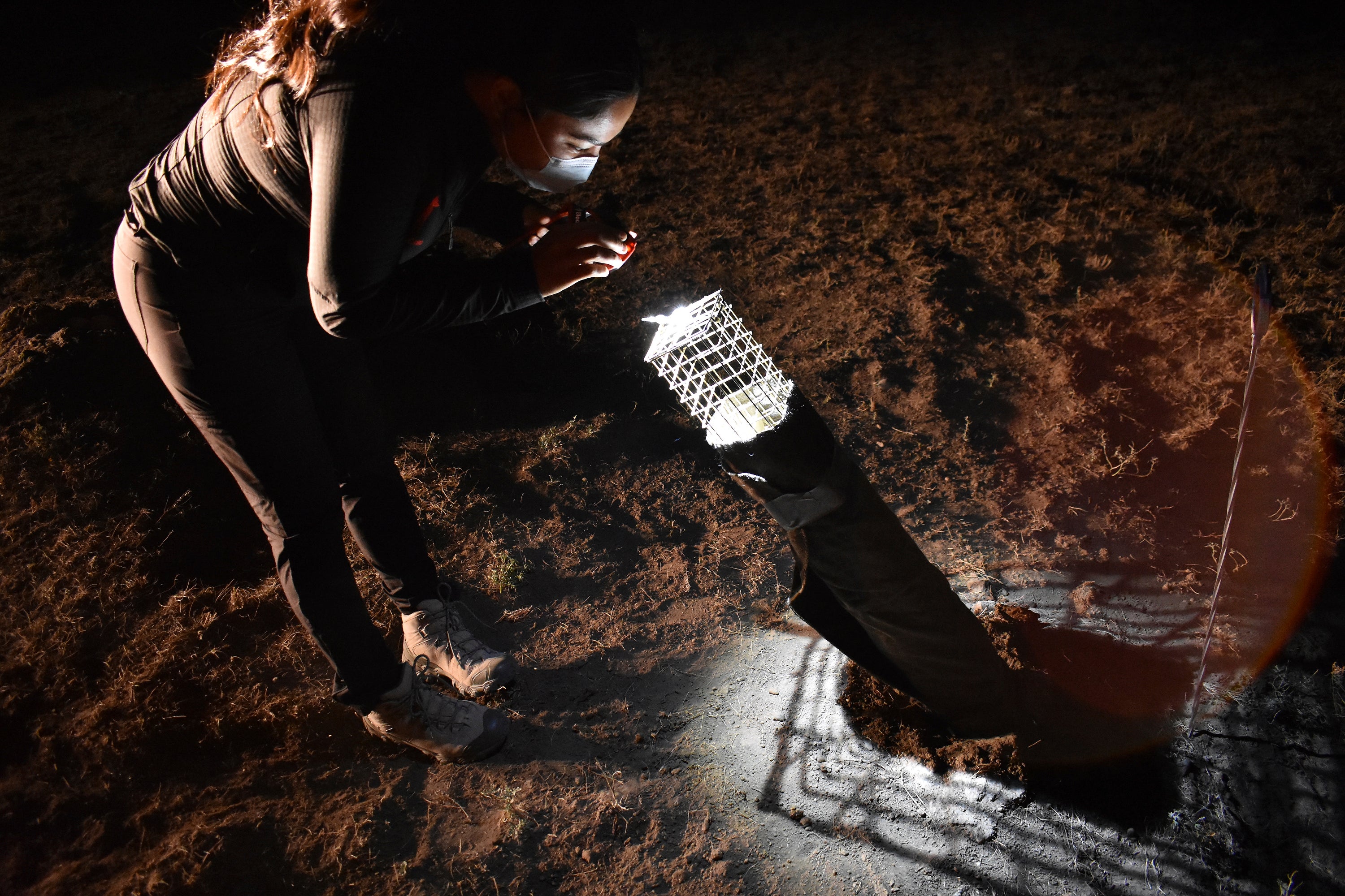 Rewilding Native Americans Northern Plain