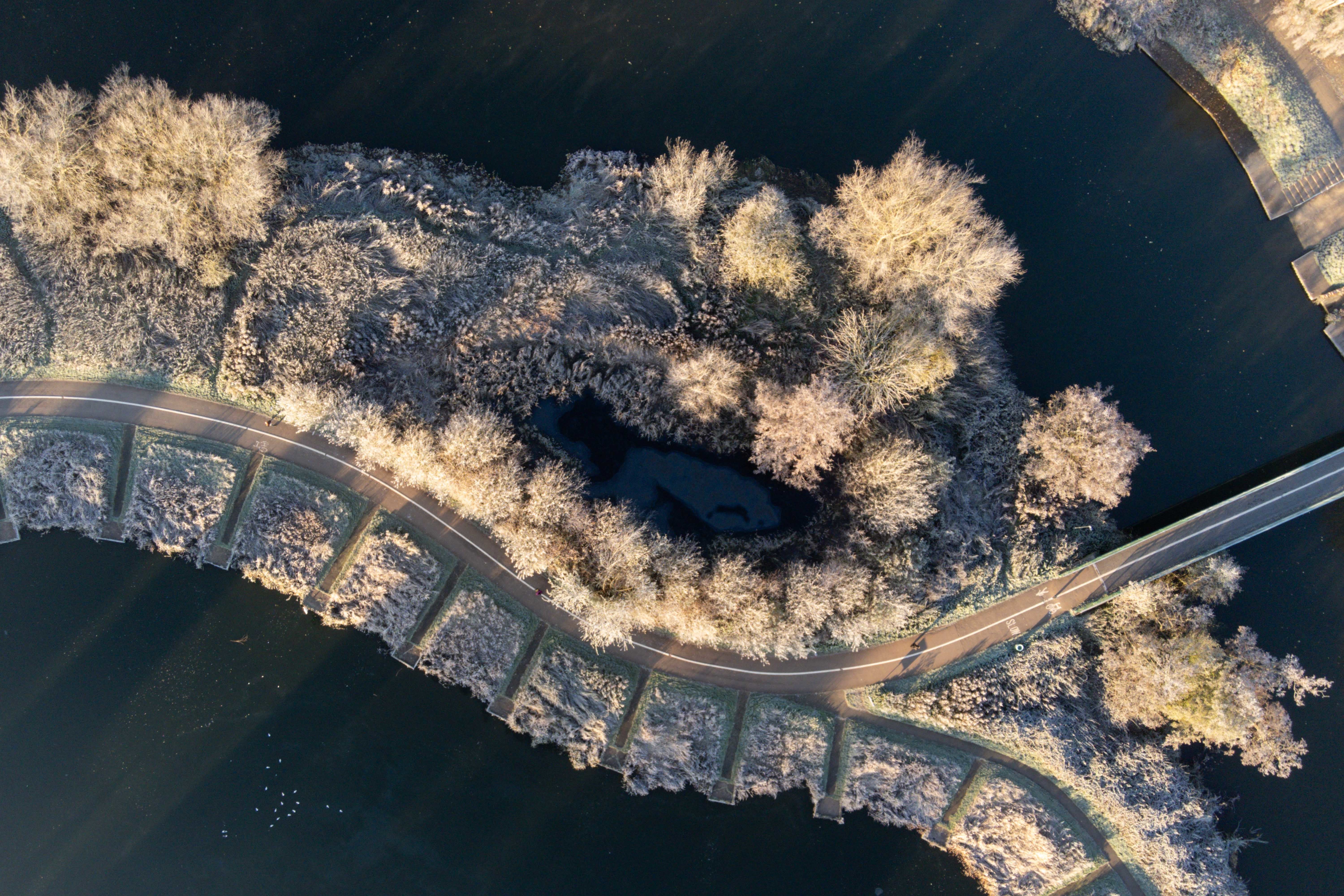 Frozen ground and vegetation by the River Avon in Warwick on Thursday