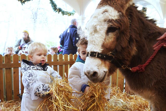 Youngsters from the YMCA creche on Aungier St with Daisy the donkey at the official opening of the Live Animal Crib in Dublin (Brian Lawless/PA)