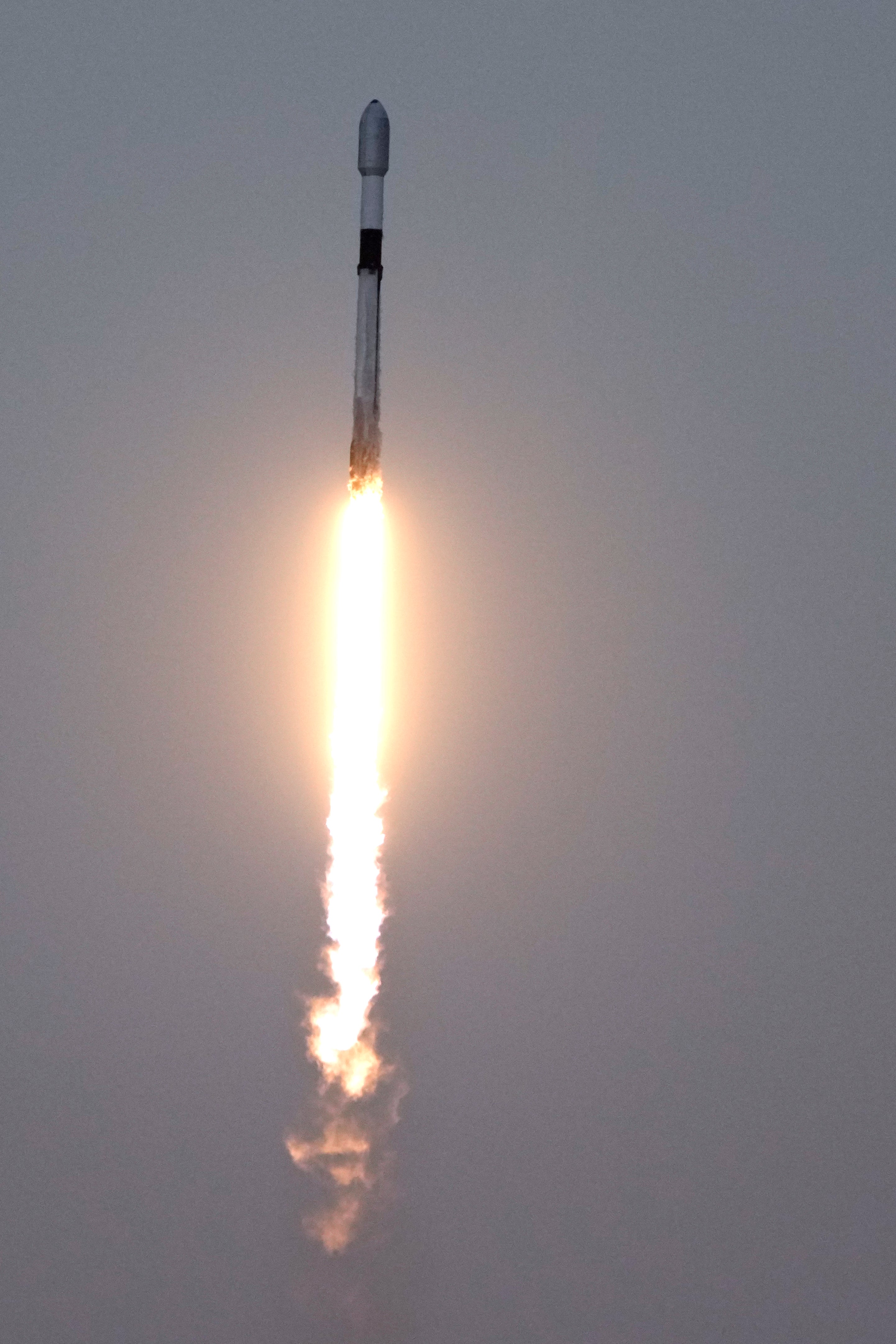 SpaceX OneWeb Launch