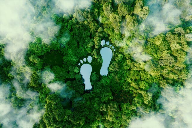 <p>A lake in the shape of human footprints in the middle of a lush forest as a metaphor for the impact of human activity on the landscape and nature in general. 3d rendering.</p>
