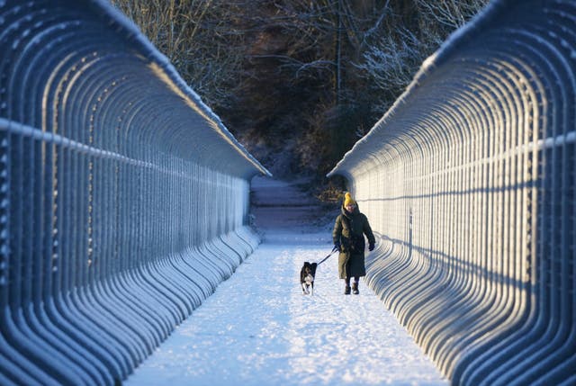 <p>A woman walks her dog through snow over Castleside Viaduct in Durham</p>