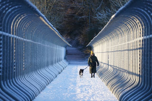 <p>A woman walks her dog through snow over Castleside Viaduct in Durham</p>