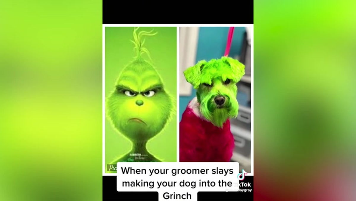 Woman sparks debate by transforming dog into the Grinch during festive trip to groomers