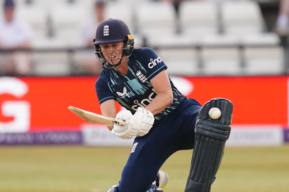 England finish ODI series with clean sweep against West Indies