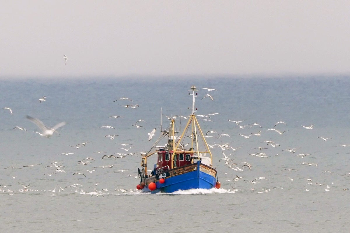 What does the new Brexit deal mean for fishing?