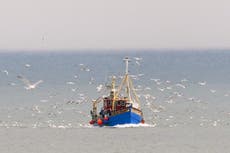 What does the new Brexit deal mean for fishing?