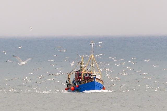 Allowable catches for most fishing stocks have increased (PA)