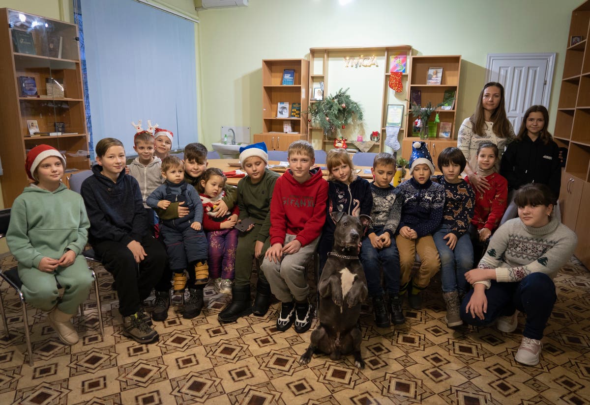 Dog therapy for kids facing the trauma of the war in Ukraine