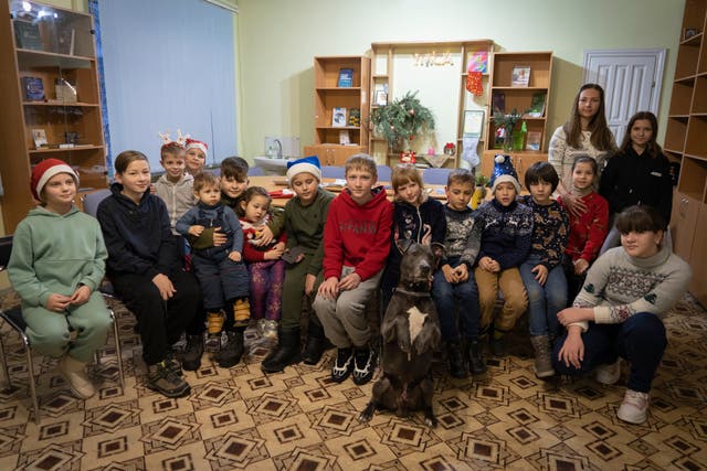 Russia Ukraine War Canine Therapy