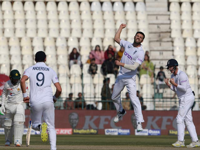 <p>Mark Wood celebrates after taking the wicket of Zahid Mahmood in Multan </p>