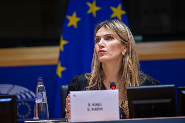 <p>Eva Kaili, a vice-president of the European Parliament, was among those arrested </p>