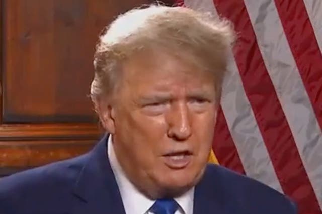 <p>Donald Trump during an interview with OAN </p>