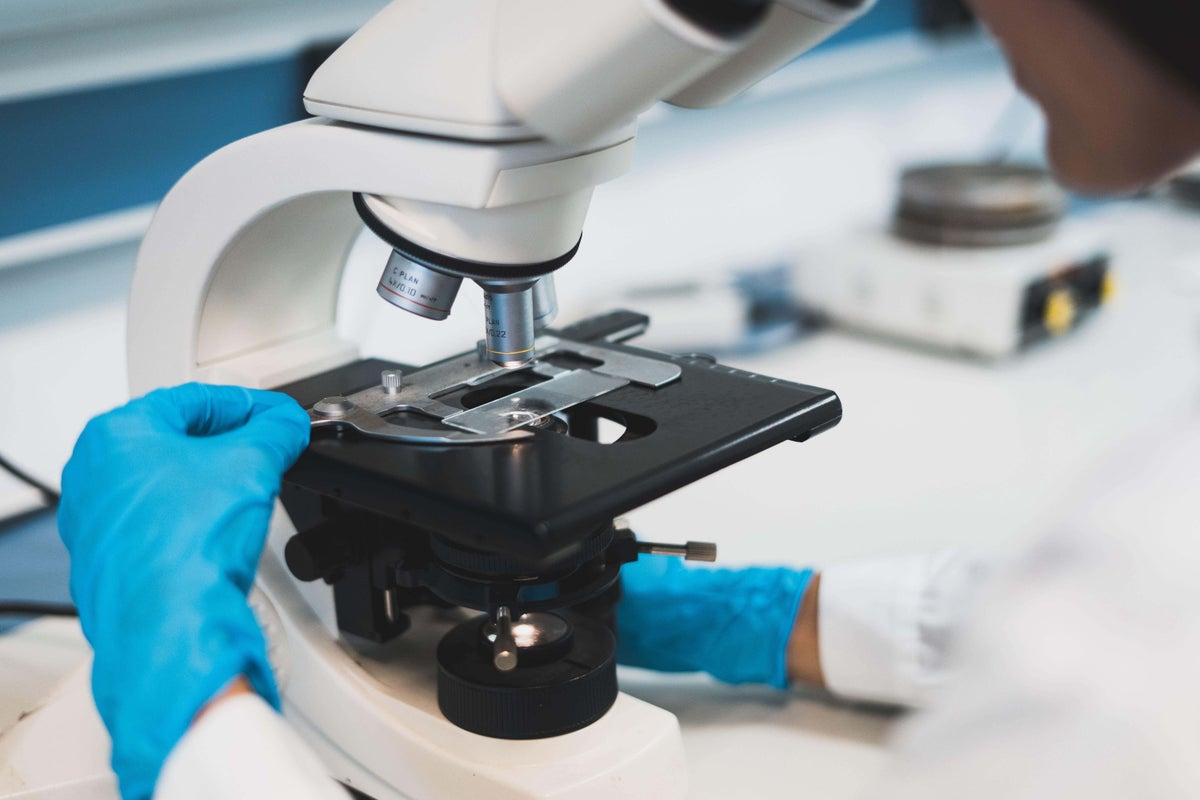 DNA ‘barcodes’ shed light on how the blood ages