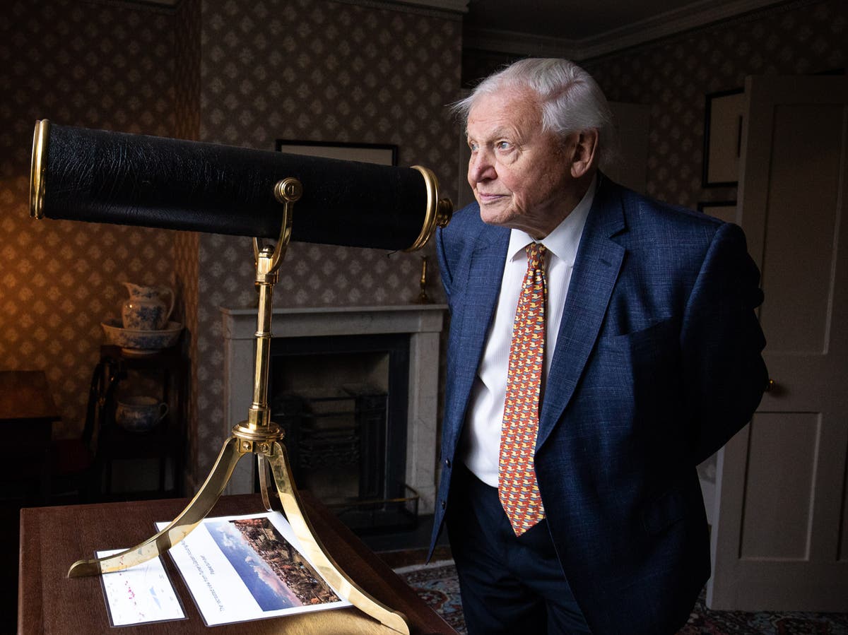 BBC producer explains why David Attenborough skips to the end of nature docs