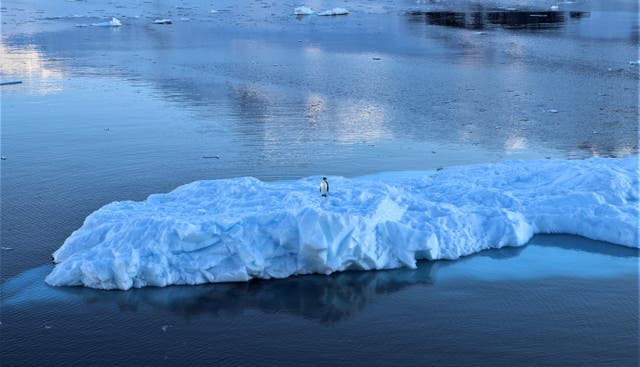 <p>Researchers combined expert assessments with scientific data to evaluate threats and conservation strategies for Antarctica. File picture</p>