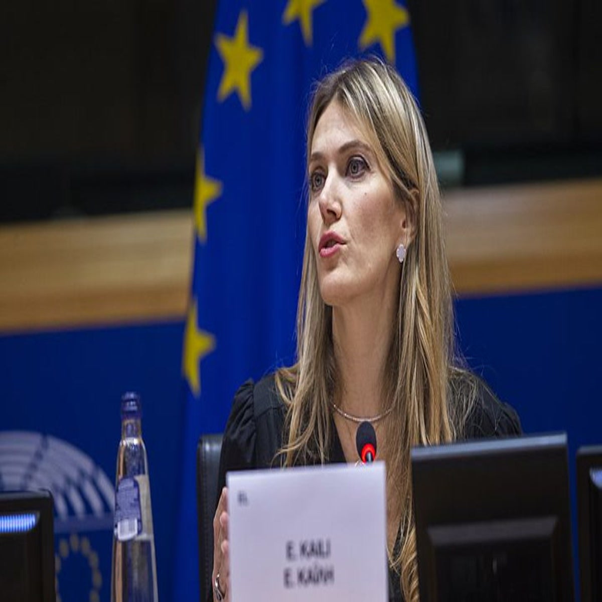 1200px x 1200px - Greek MEP Eva Kaili stripped of EU vice-president role | News | Independent  TV