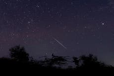 Geminid meteor shower – live: Skies to light up with shooting stars in latest celestial show