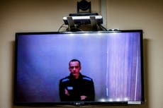 Jailed Putin critic Alexei Navalny gets 12 days in solitary confinement for swearing