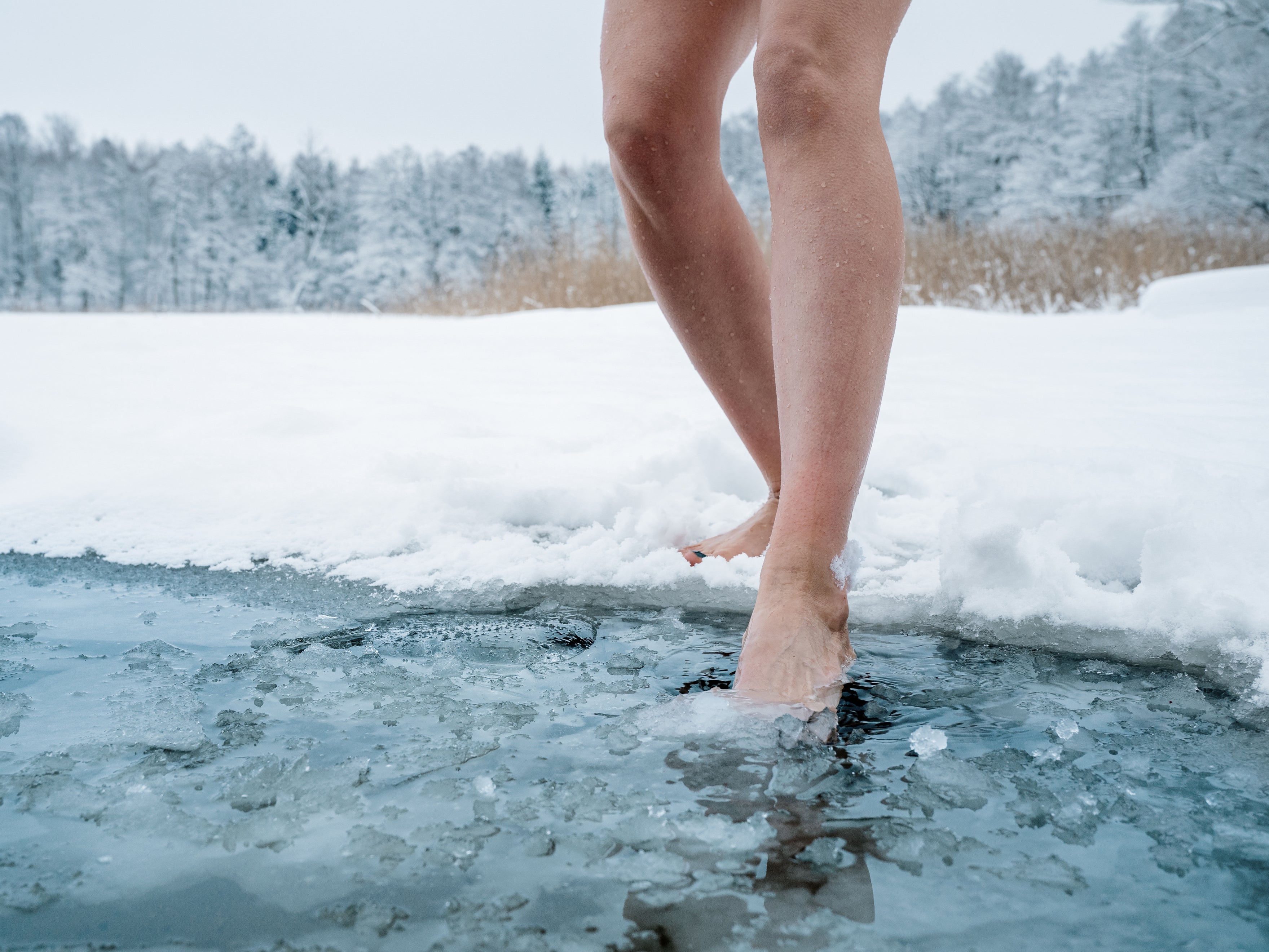 Cold water swimming gear: Everything you need to take the plunge
