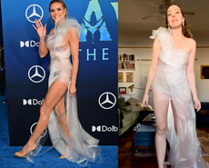 Heidi Klum praises artist who used saran wrap to recreate her Avatar red carpet dress