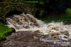 Extreme weather of 2022 destroyed habitats, disrupted breeding – but it’s just the start, experts warn