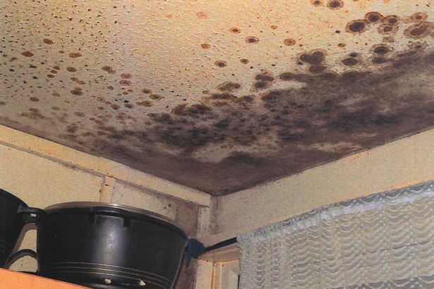 Mould in the kitchen after Awaab’s death