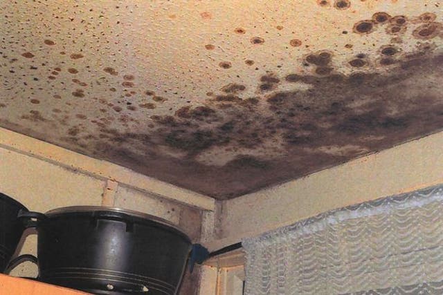 <p>Mould in the kitchen after Awaab’s death</p>