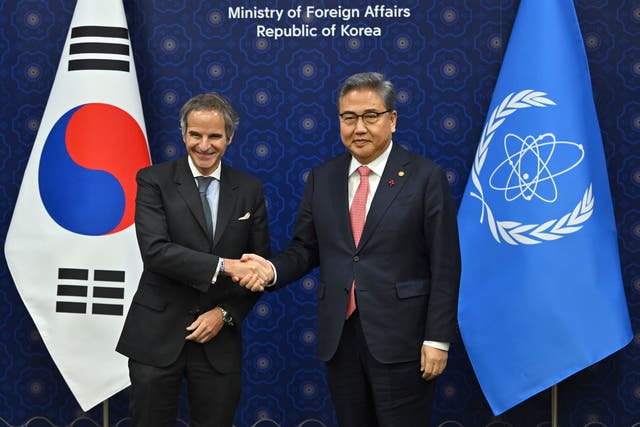 South Korea IAEA