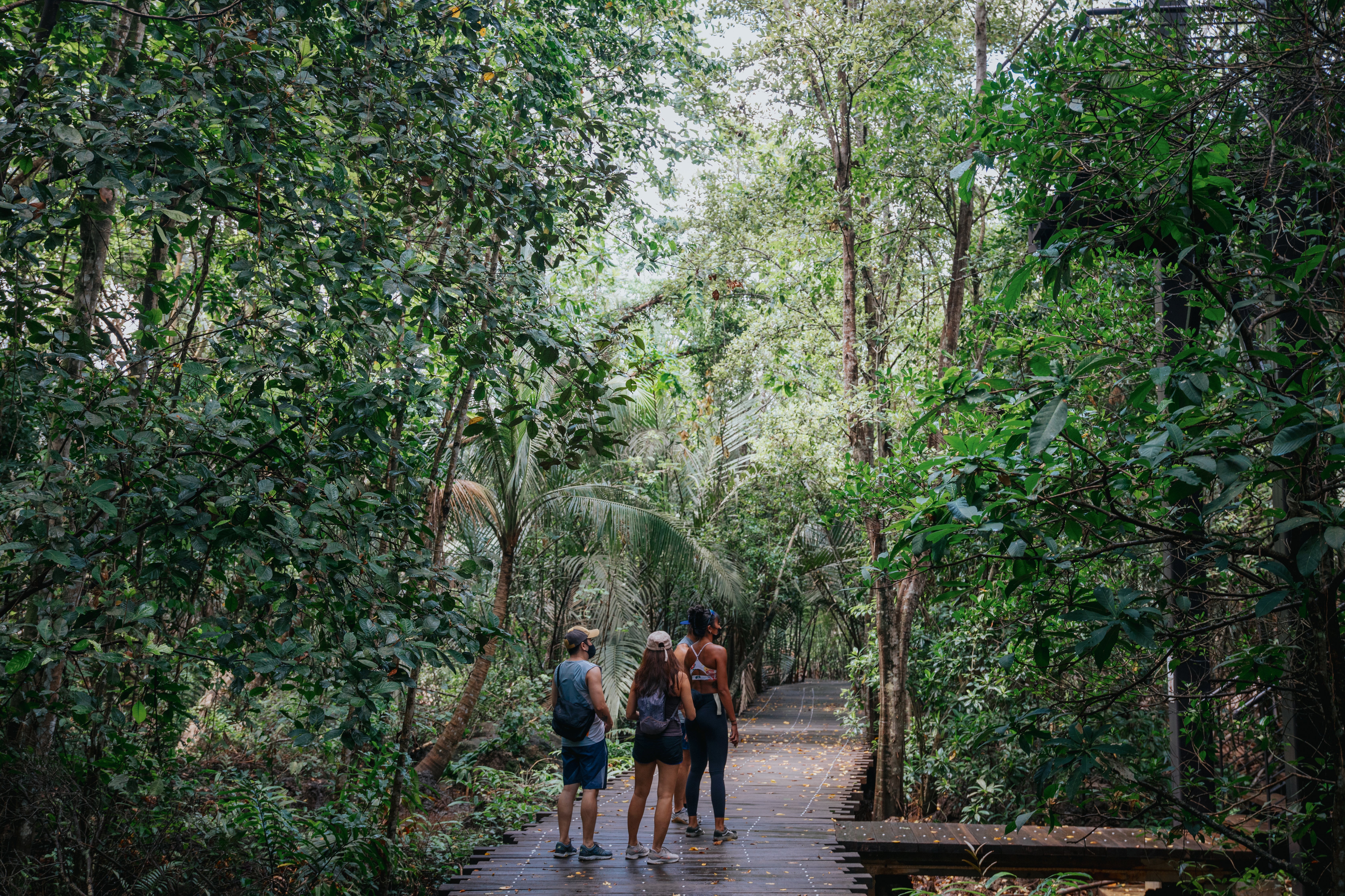 For a brush with Singapore’s wildlife, the Wetlands in Chek Jawa are a must-visit